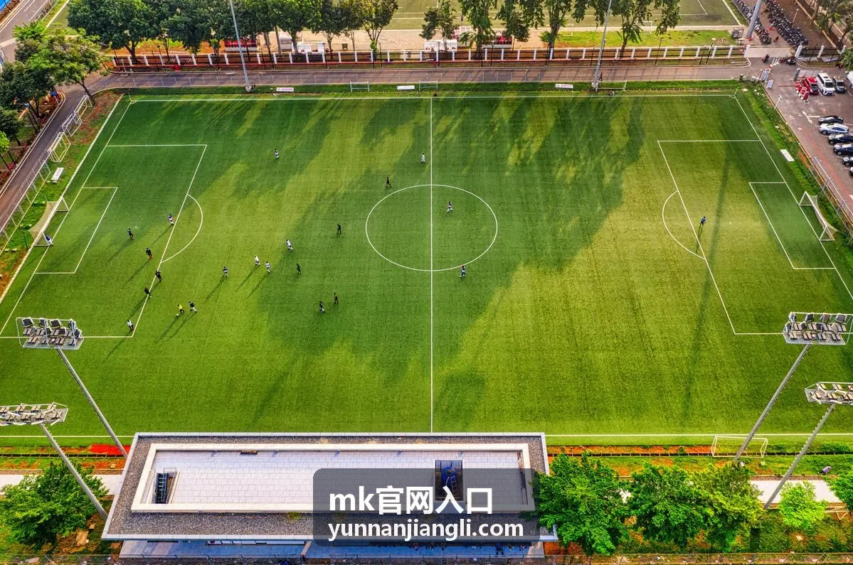 mk官网入口专属内容：等级差异说明